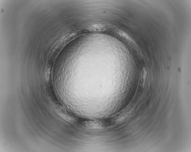 X0000087510652200705111942