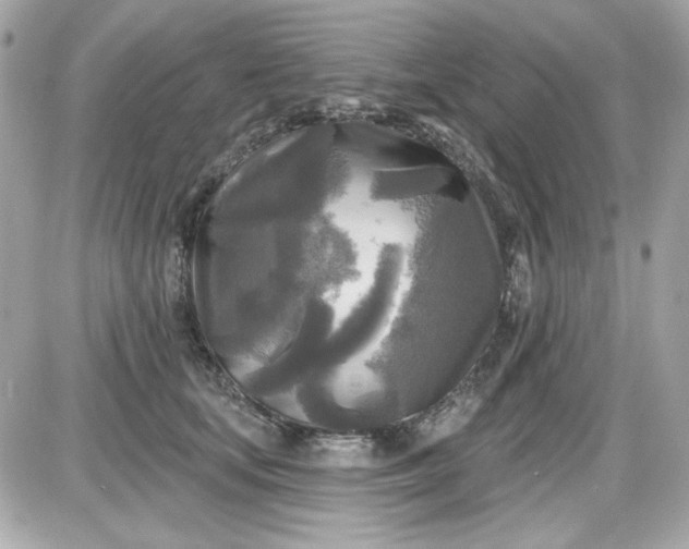X0000087510659200705111942