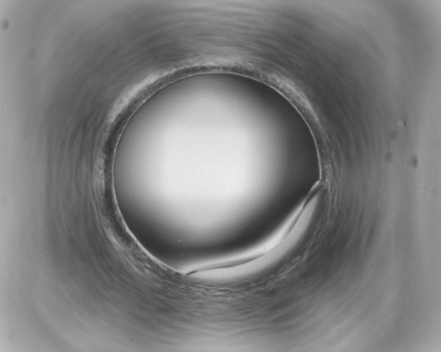 X0000087510676200705111942