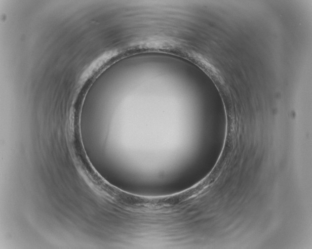 X0000087510678200705111942