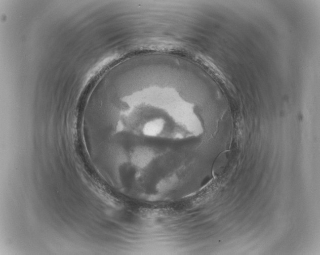 X0000087510679200705111942