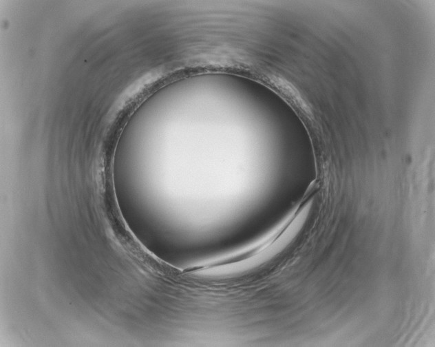 X0000087510680200705111942