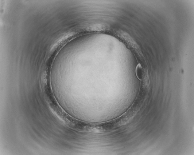 X0000087510683200705111942