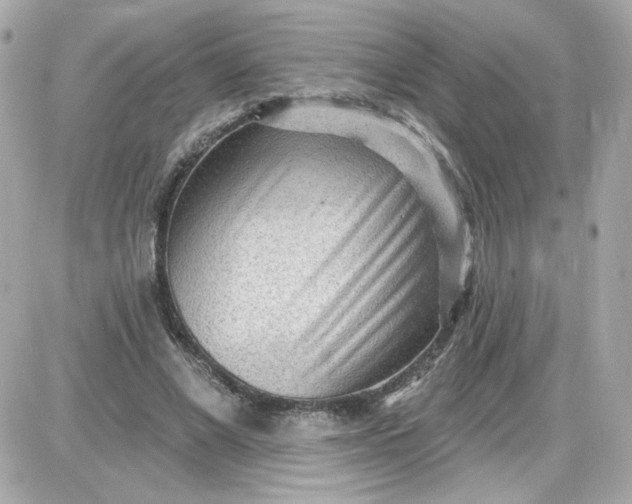 X0000087510685200705111942
