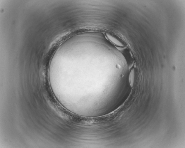 X0000087510688200705111942