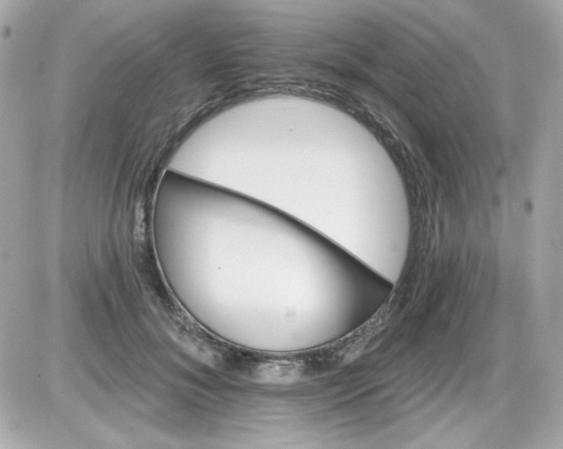 X0000087510700200705111941