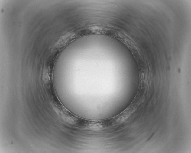 X0000087510702200705111941
