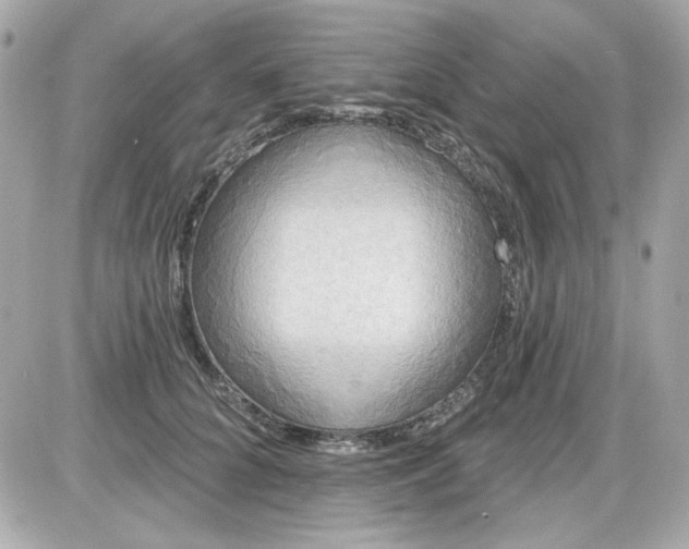 X0000087510704200705111941