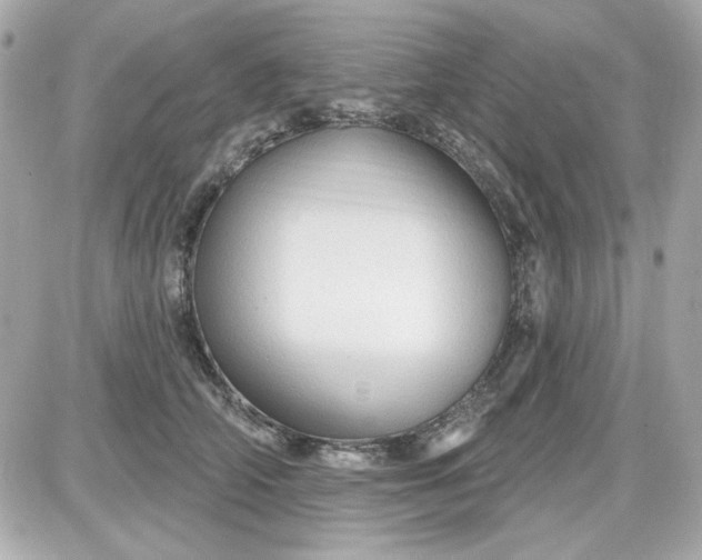 X0000087510706200705111941