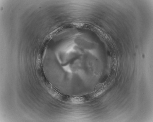 X0000087510707200705111941