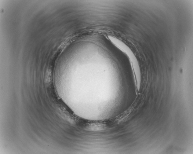 X0000087510708200705111941