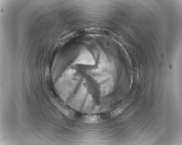X0000087510711200705111941