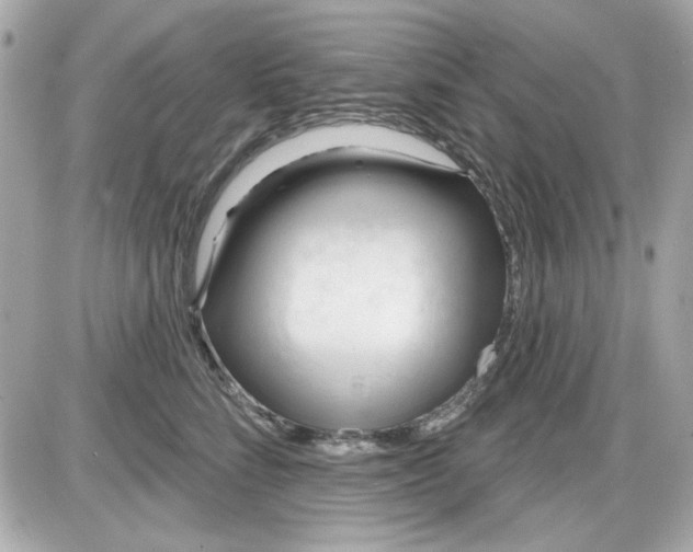 X0000087510712200705111941