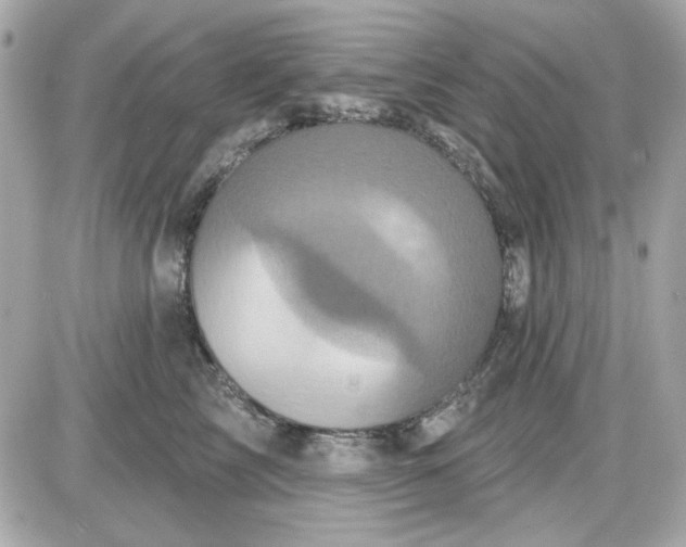 X0000087510713200705111941