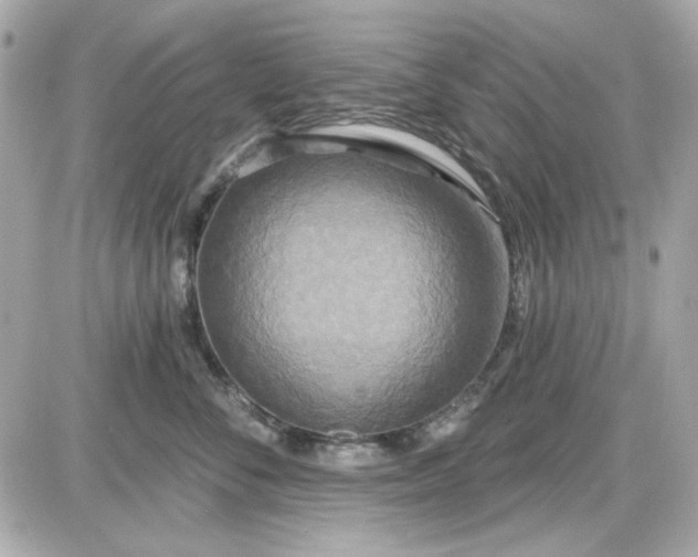 X0000087510716200705111941