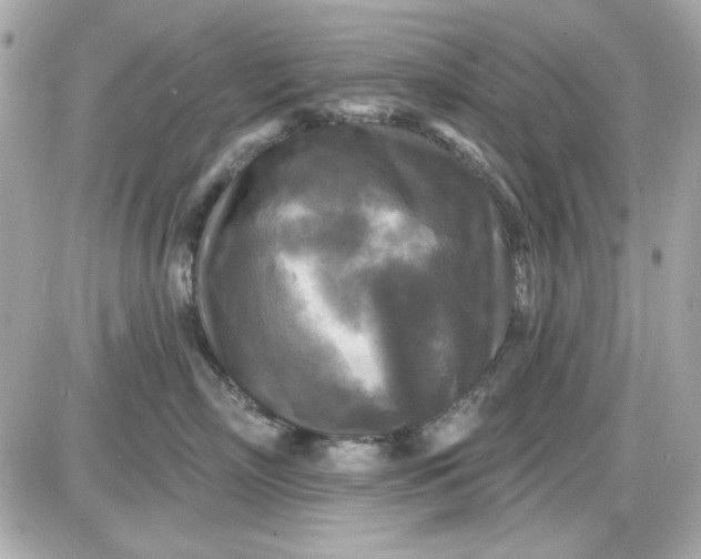 X0000087510718200705111941