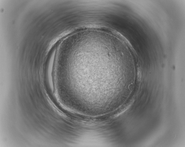 X0000087510725200705111940