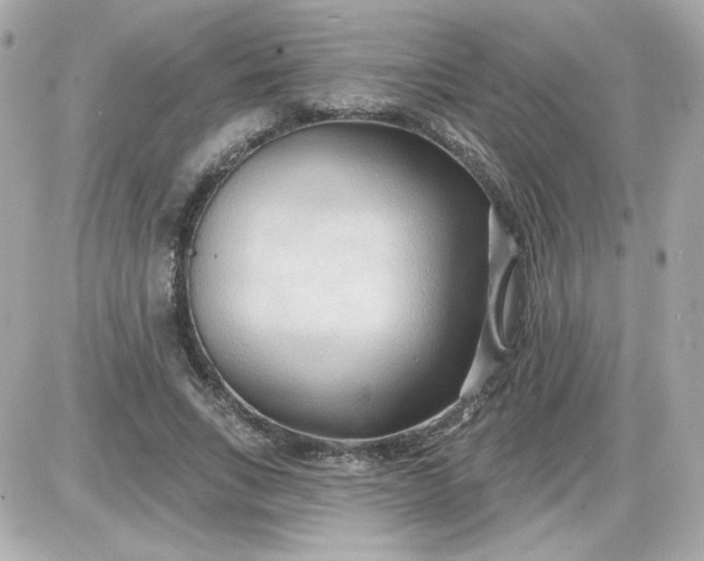X0000087510735200705111940