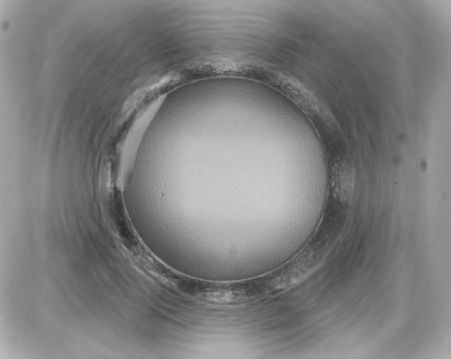 X0000087510740200705111941