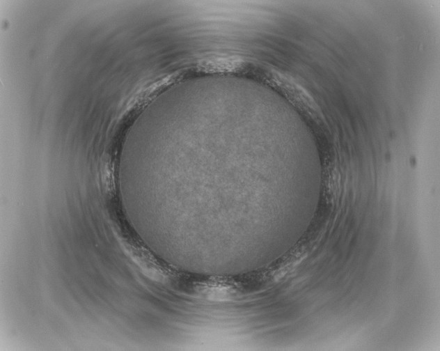 X0000087510743200705111941