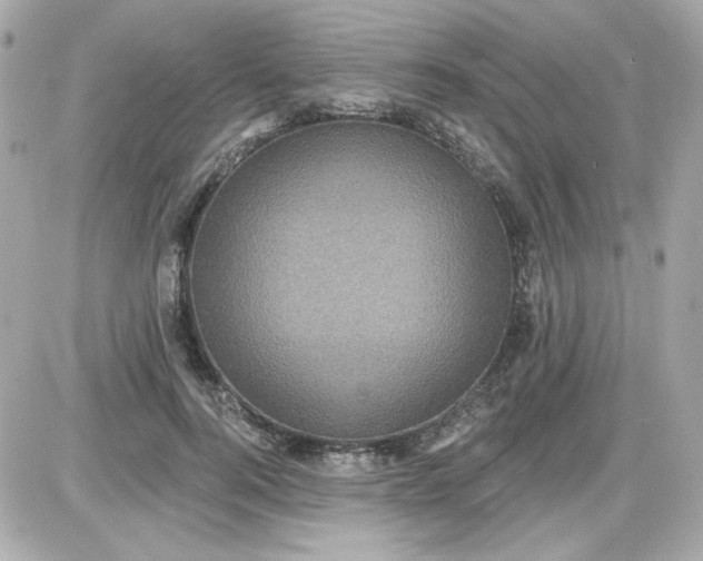 X0000087510744200705111941
