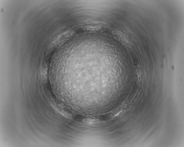X0000087510745200705111941