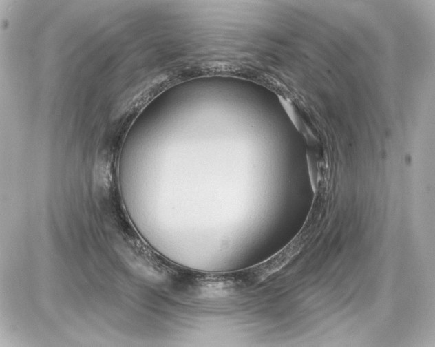 X0000087510746200705111941