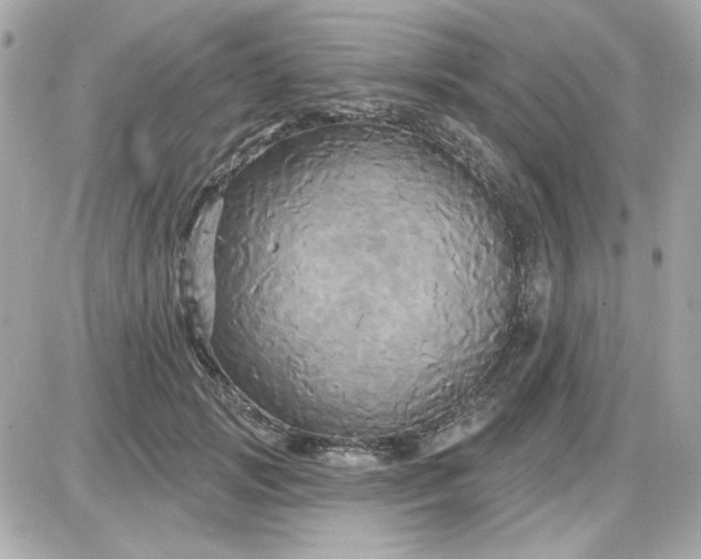 X0000087510749200705111941