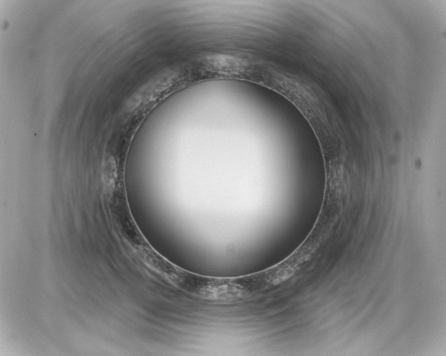X0000087510752200705111941