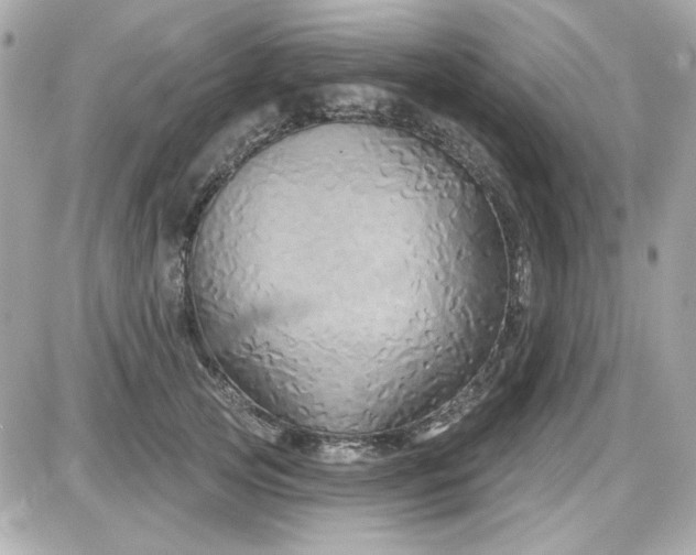 X0000087510753200705111941