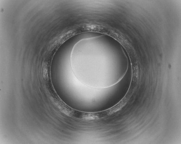 X0000087510754200705111941