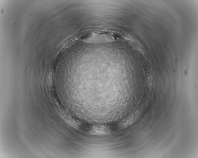 X0000087510757200705111941