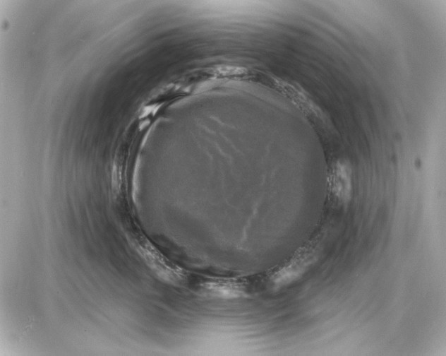 X0000087510763200705111941