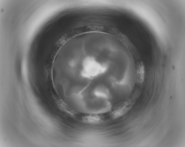 X0000087510765200705111941