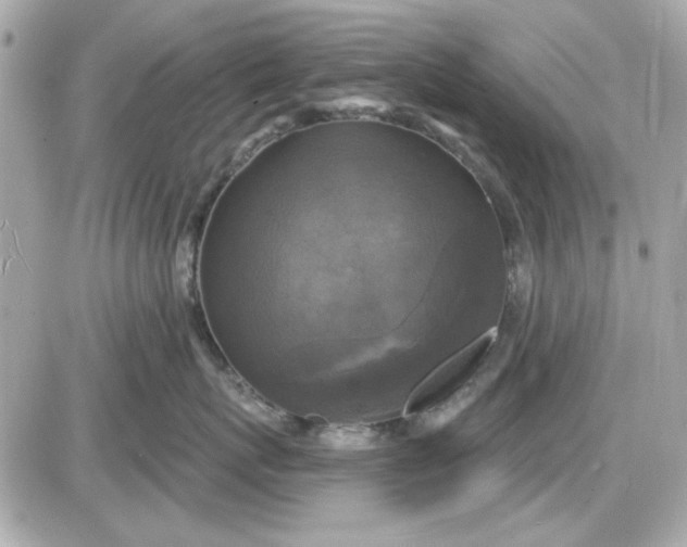 X0000087510767200705111941