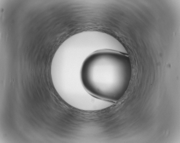 X0000087510768200705111941