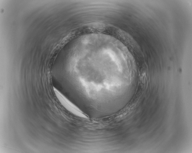 X0000087510772200705111940