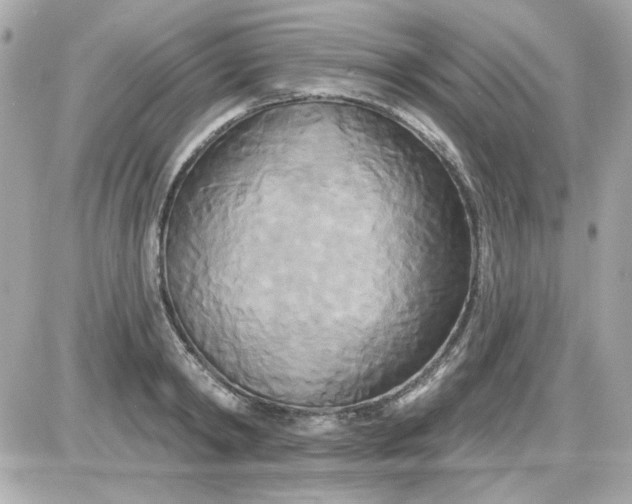 X0000087510798200705111940