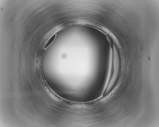 X0000087510801200705111940
