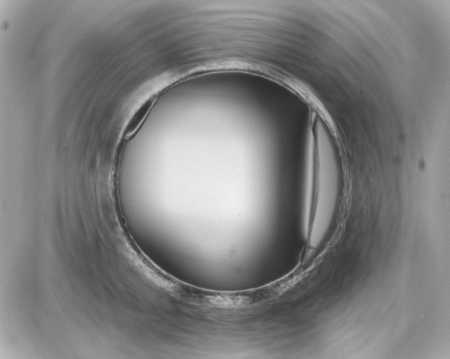 X0000087510805200705111940