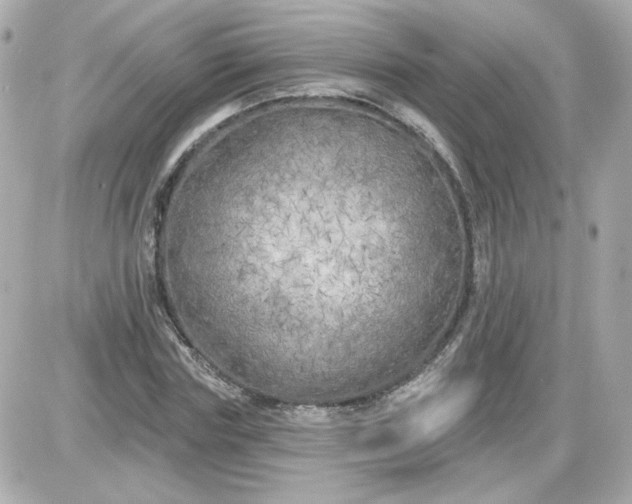 X0000087510827200705111939