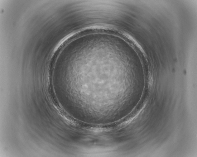 X0000087510829200705111939