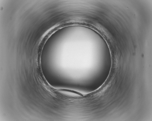 X0000087510830200705111939