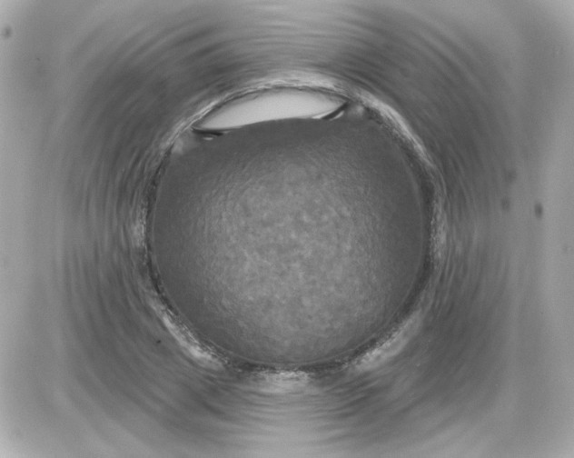X0000087510833200705111939