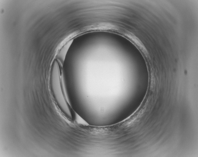 X0000087510850200705111939
