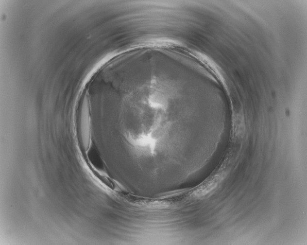 X0000087510851200705111939