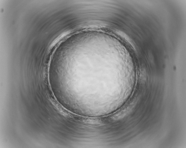 X0000087510874200705111939