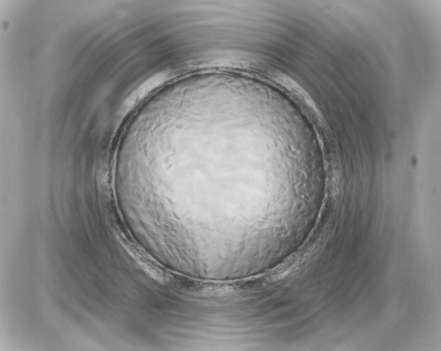 X0000087510882200705111938