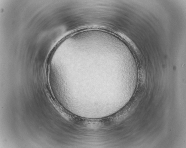 X0000087510886200705111938