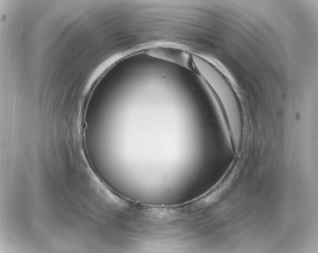 X0000087510910200705111938